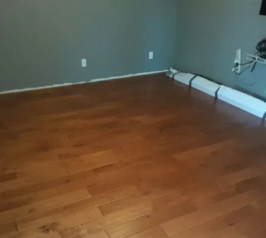 Empty room with wood floor, gray walls, and exposed pipes along the right wall.