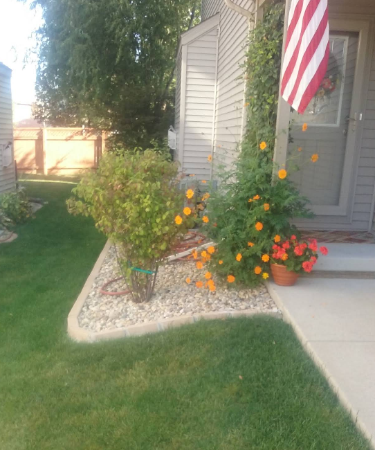 Front porch garden with orange flowers, green shrubbery, and an American flag beside a house entry.