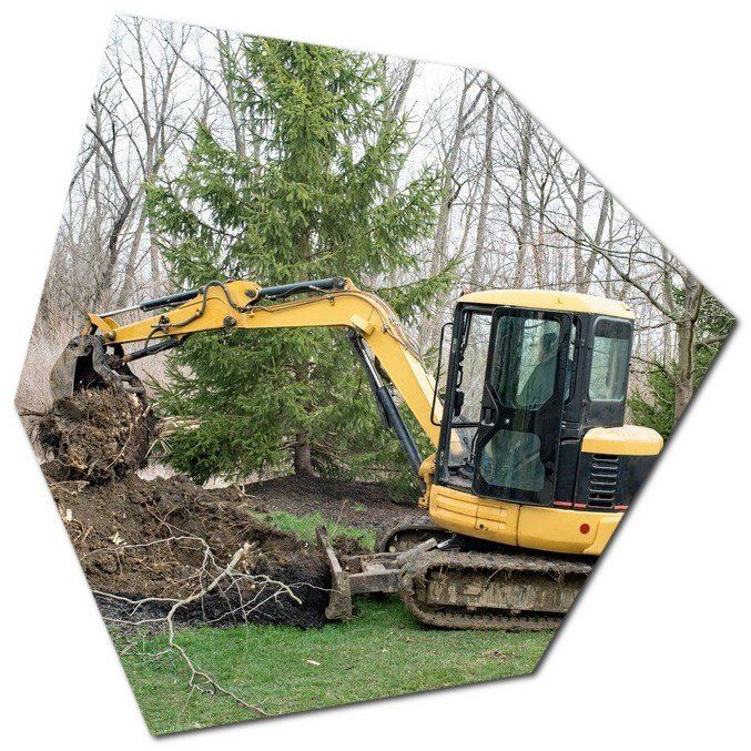small excavator taking down the trees