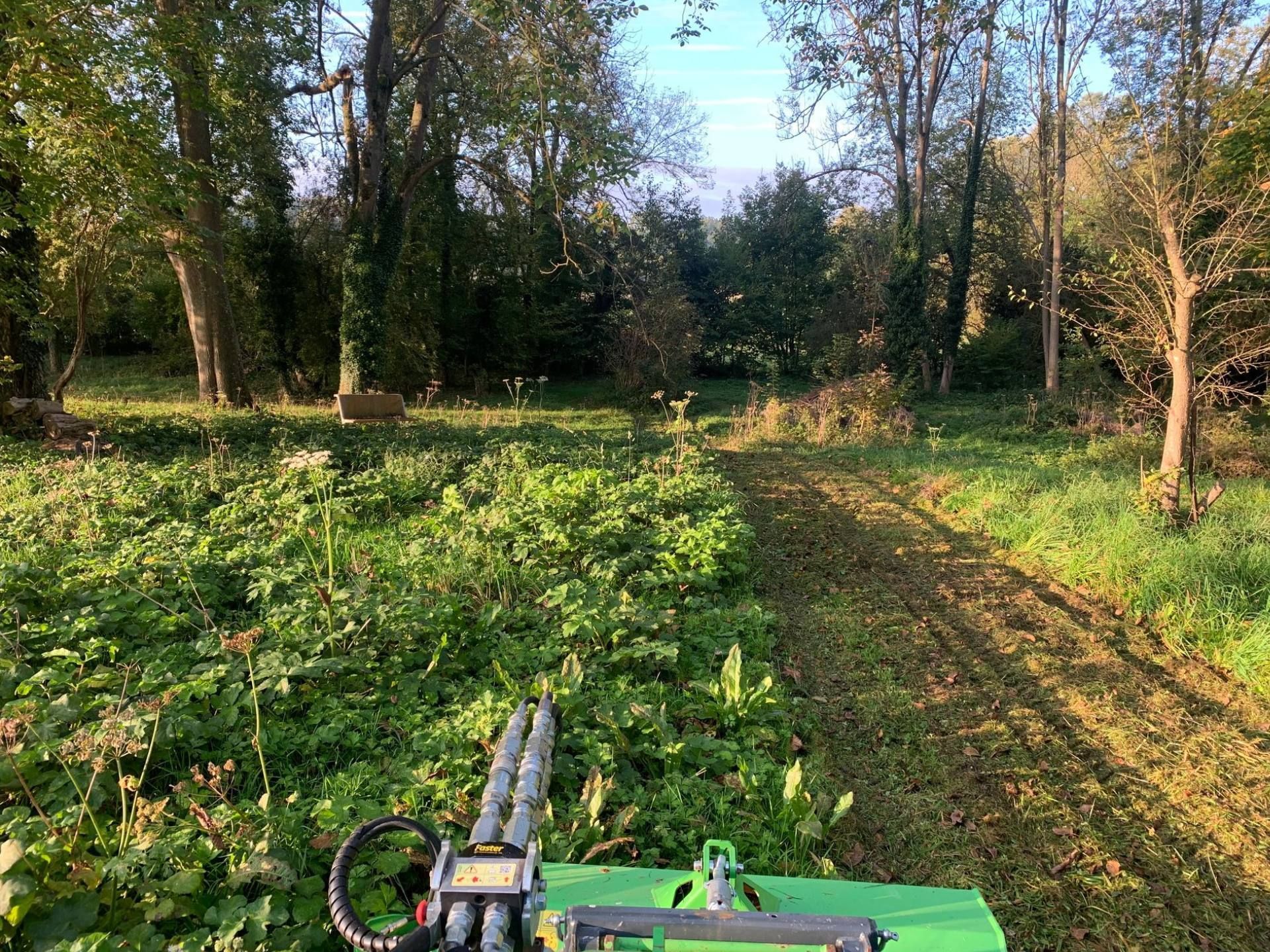 Un tracteur vert se fraye un chemin à travers la végétation envahissante d'un champ herbeux, avec des arbres en arrière-plan.