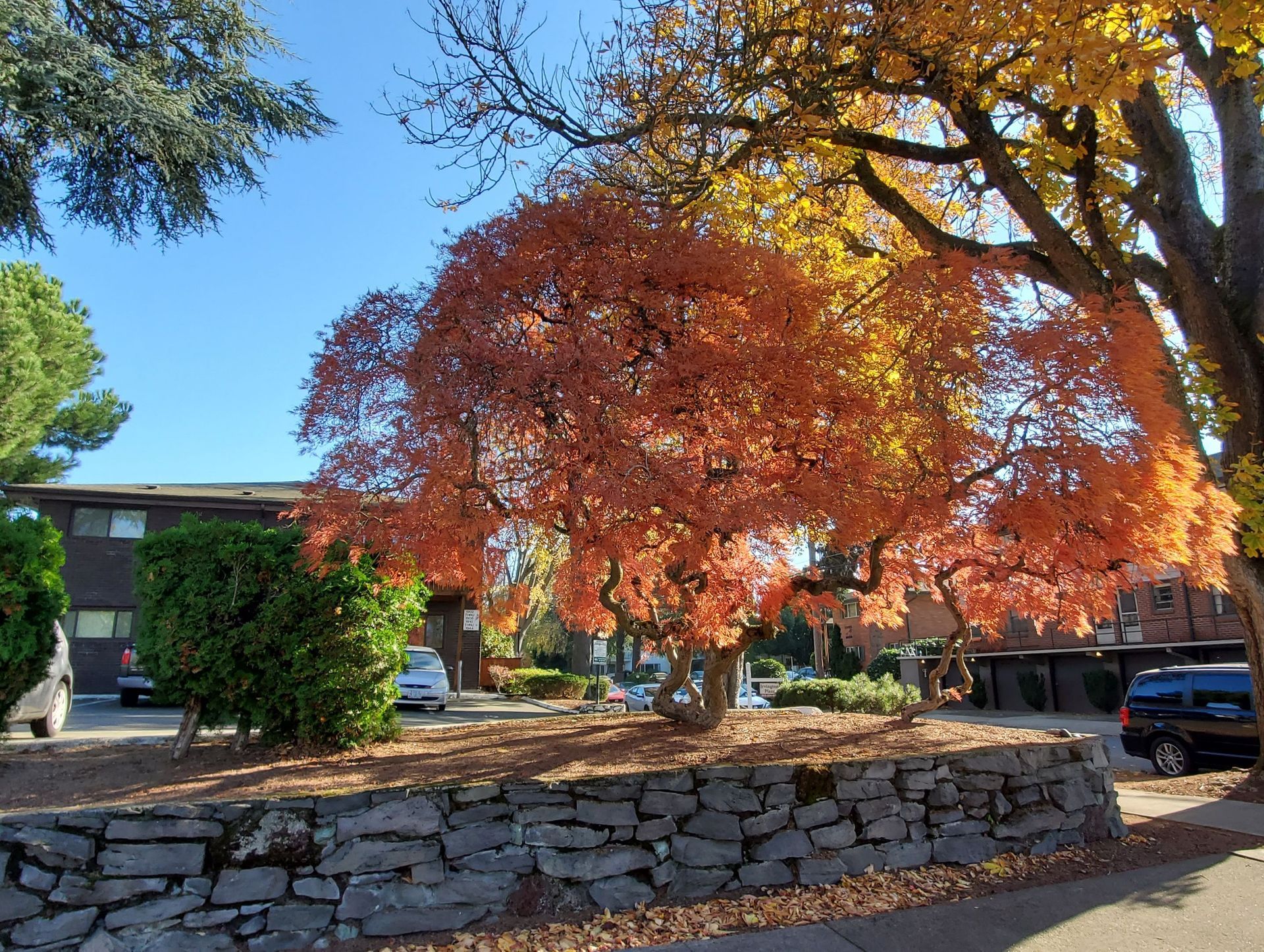 Irvington Court exterior