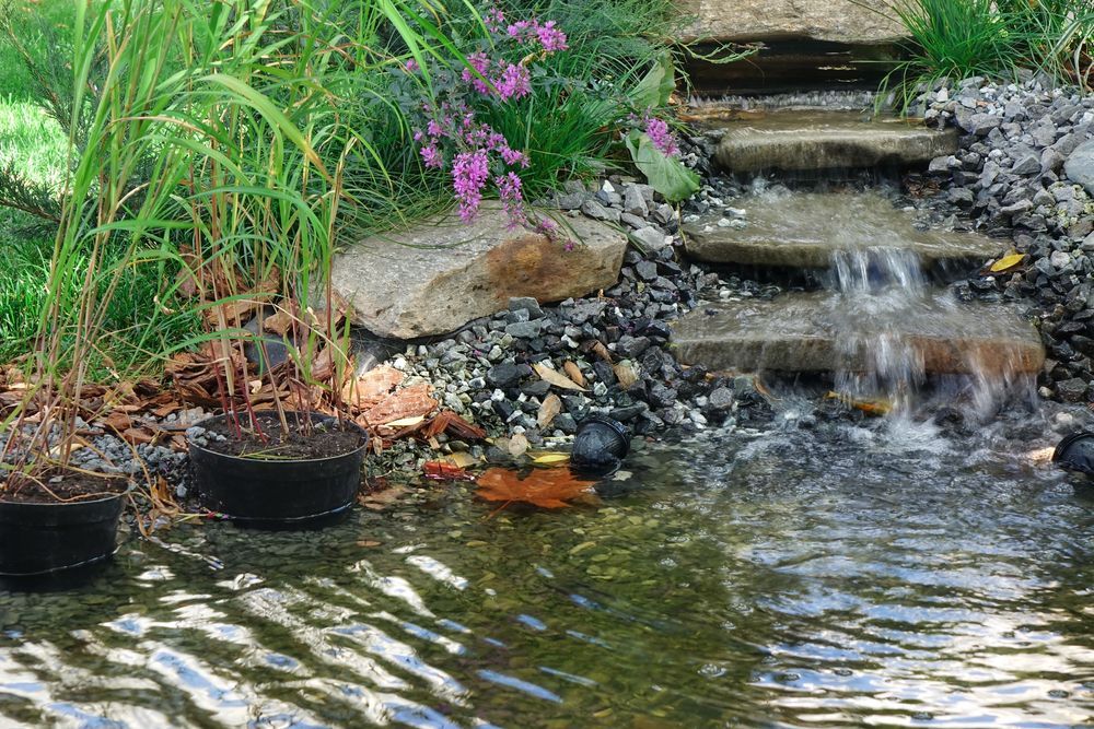 There is a waterfall in the middle of the pond.