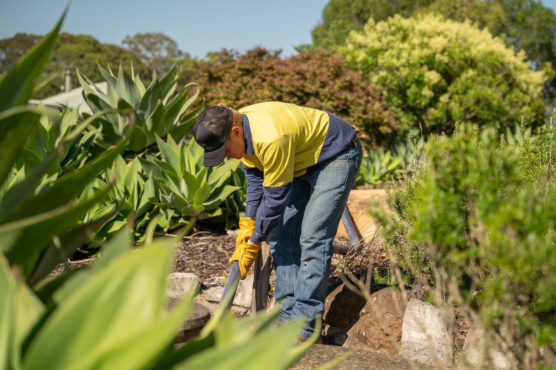 Person in a Yellow Shirt Gardening Among Lush Green Plants — Shreks Septic Services in Gowrie Junction, QLD