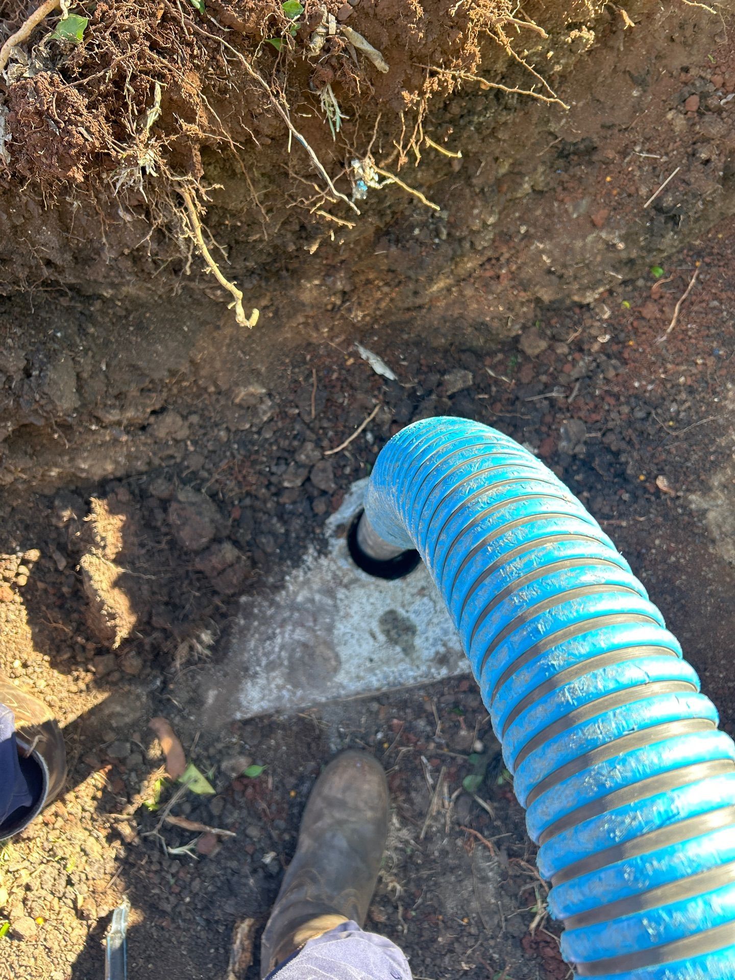 Blue Corrugated Hose in a Dirt Trench — Shreks Septic Services in Toowoomba, QLD