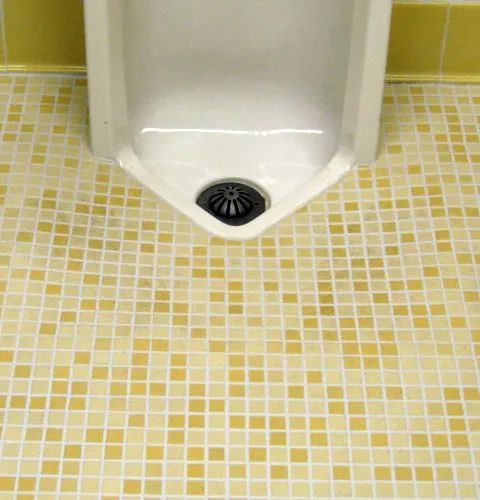 Restroom Floor After Cleaning — Darien, IL — Sterling Services
