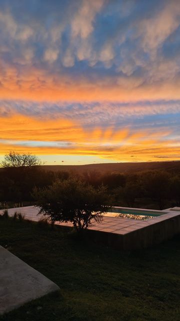 Cielo al atardecer con nubes naranjas y azules sobre una piscina en el patio trasero y árboles oscuros.