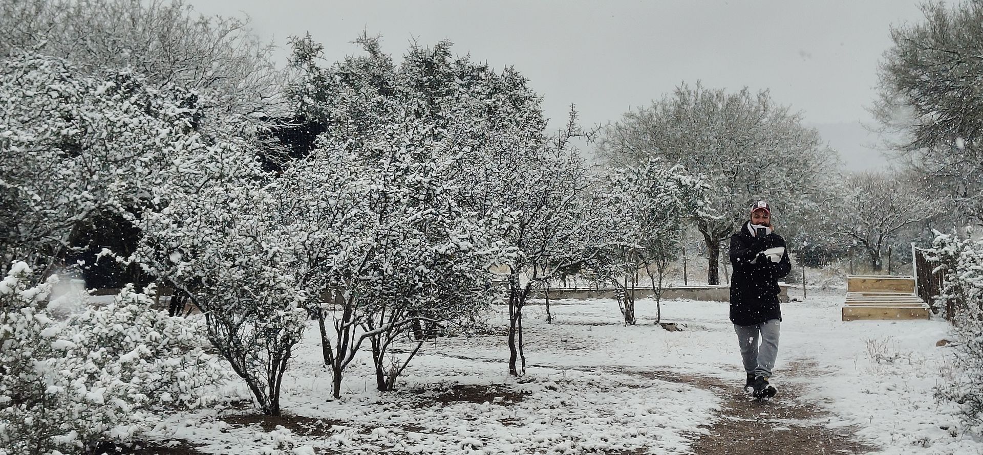 Parque cubierto de nieve con árboles escarchados y una persona caminando por un sendero.