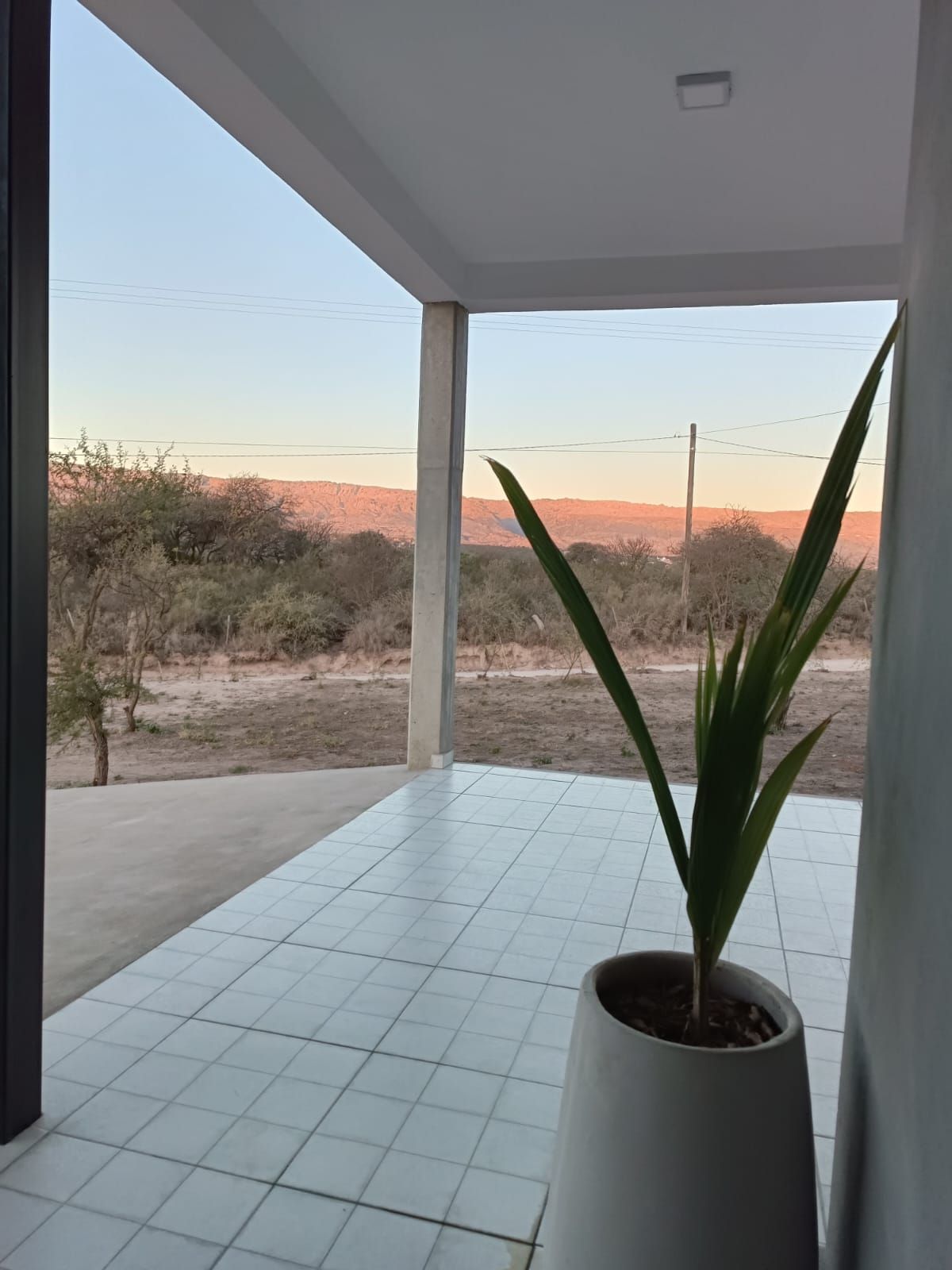 Patio al atardecer con una planta de serpiente en maceta sobre una mesa de azulejos, con vistas a un paisaje desértico.