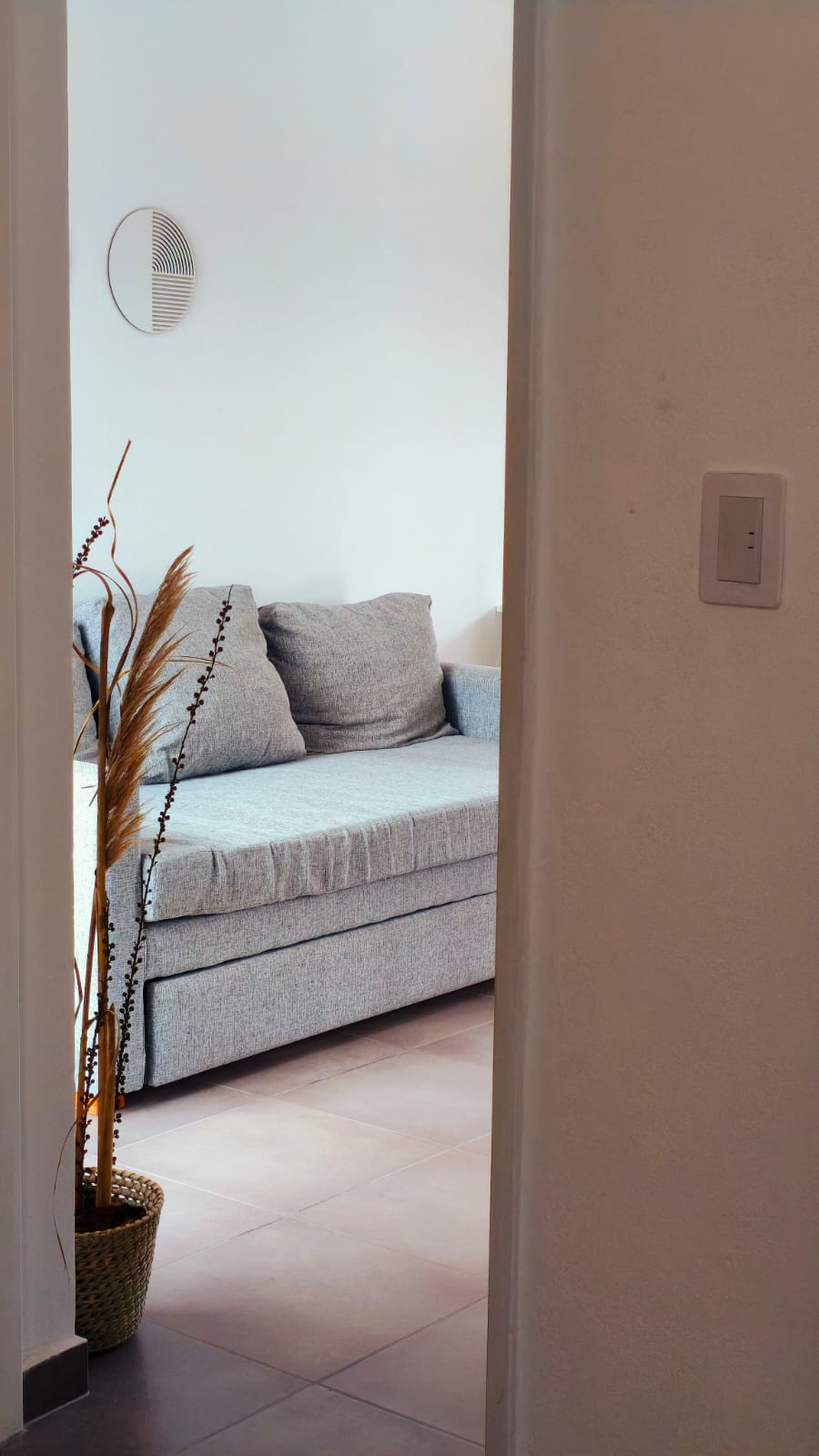 Vista a través de una puerta hacia una habitación luminosa con un sofá gris, cojines decorativos y una planta alta en maceta.