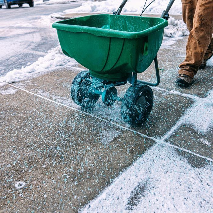 Green salt spreader cart on a snowy sidewalk, scattering salt or ice melt.