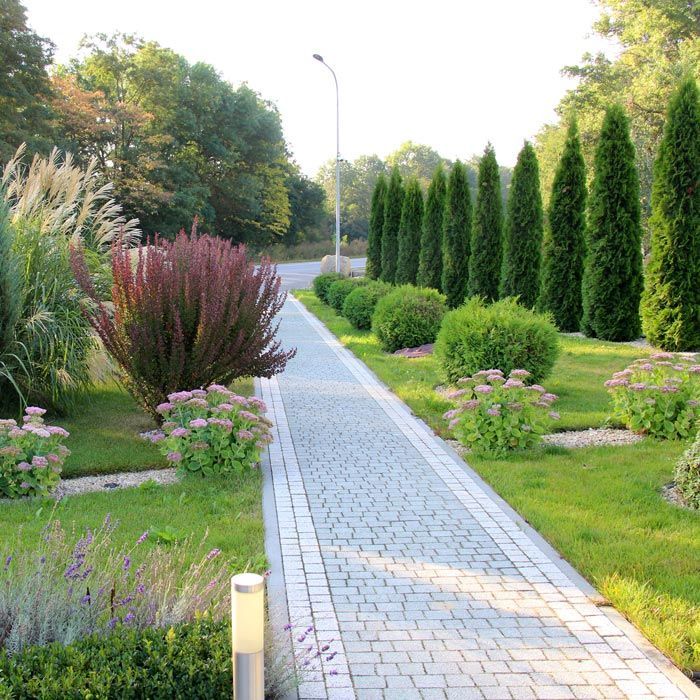 Brick path through a landscaped garden with tall evergreens, colorful shrubs, and green grass