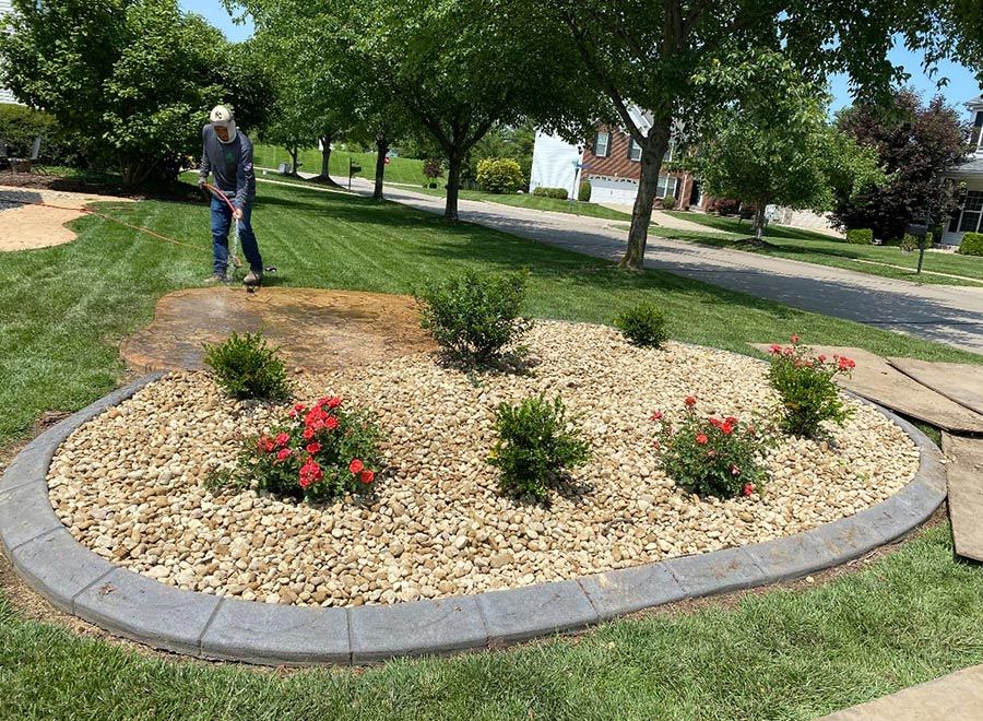 Circular flower bed with red flowers and mulch in a park, with a person standing nearby