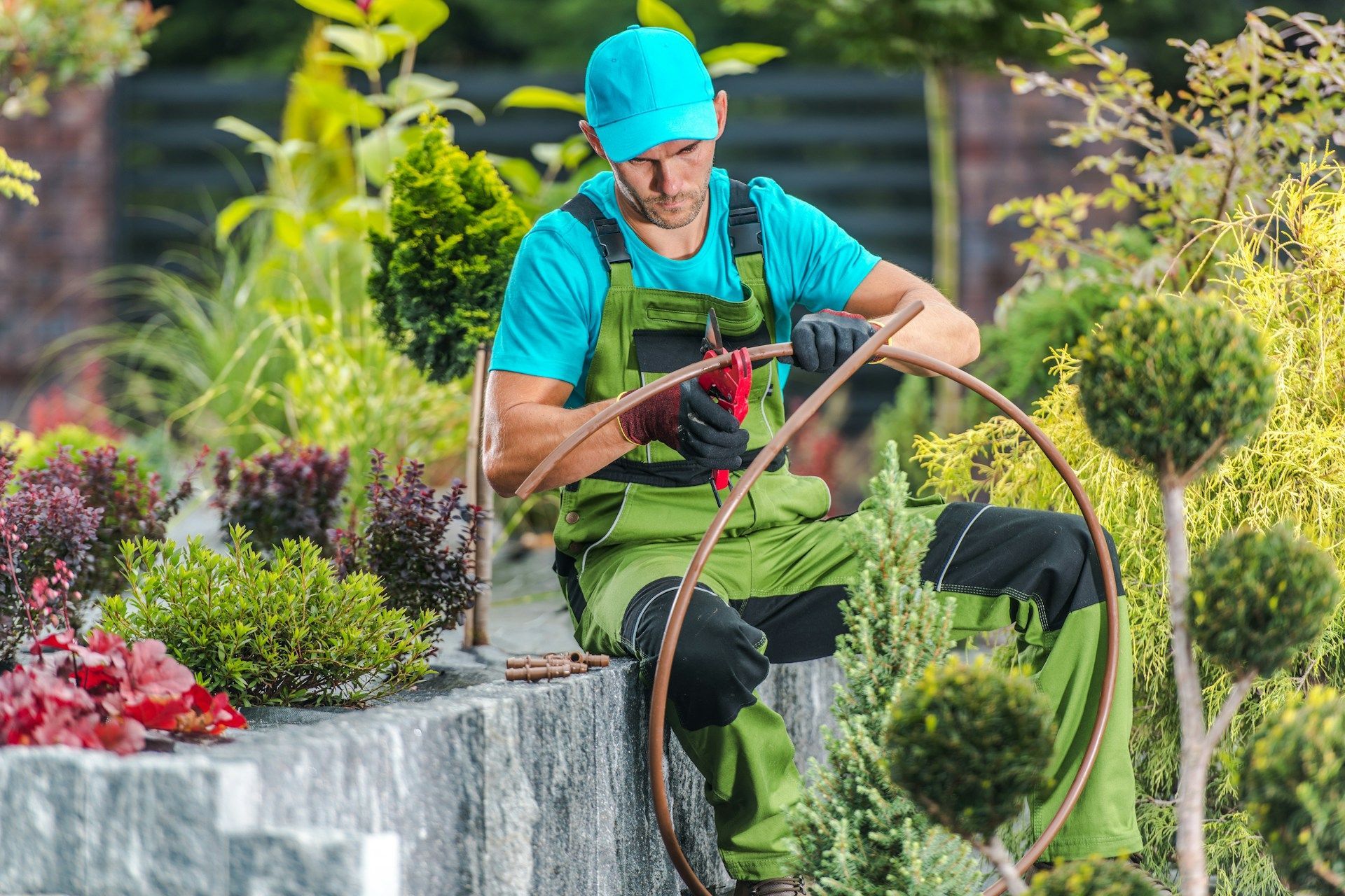 Landscaping