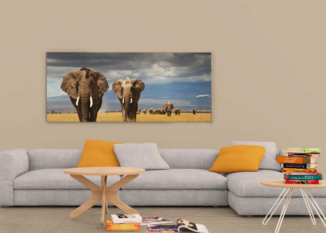 4fc_canvas prints