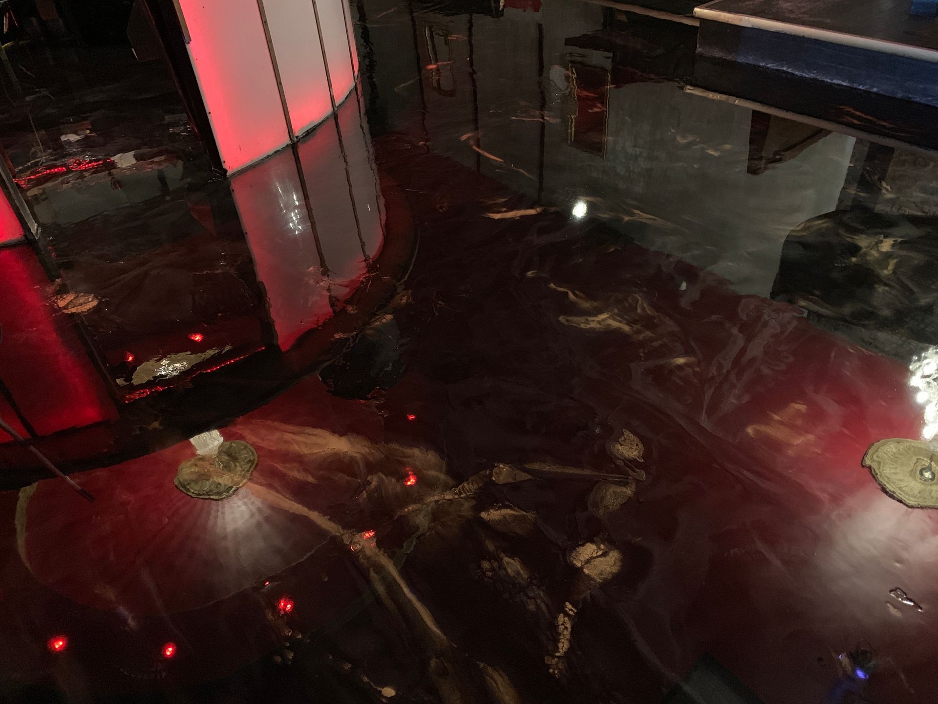 Red-toned glossy floor reflecting a curved red-lit structure in a dimly lit space.