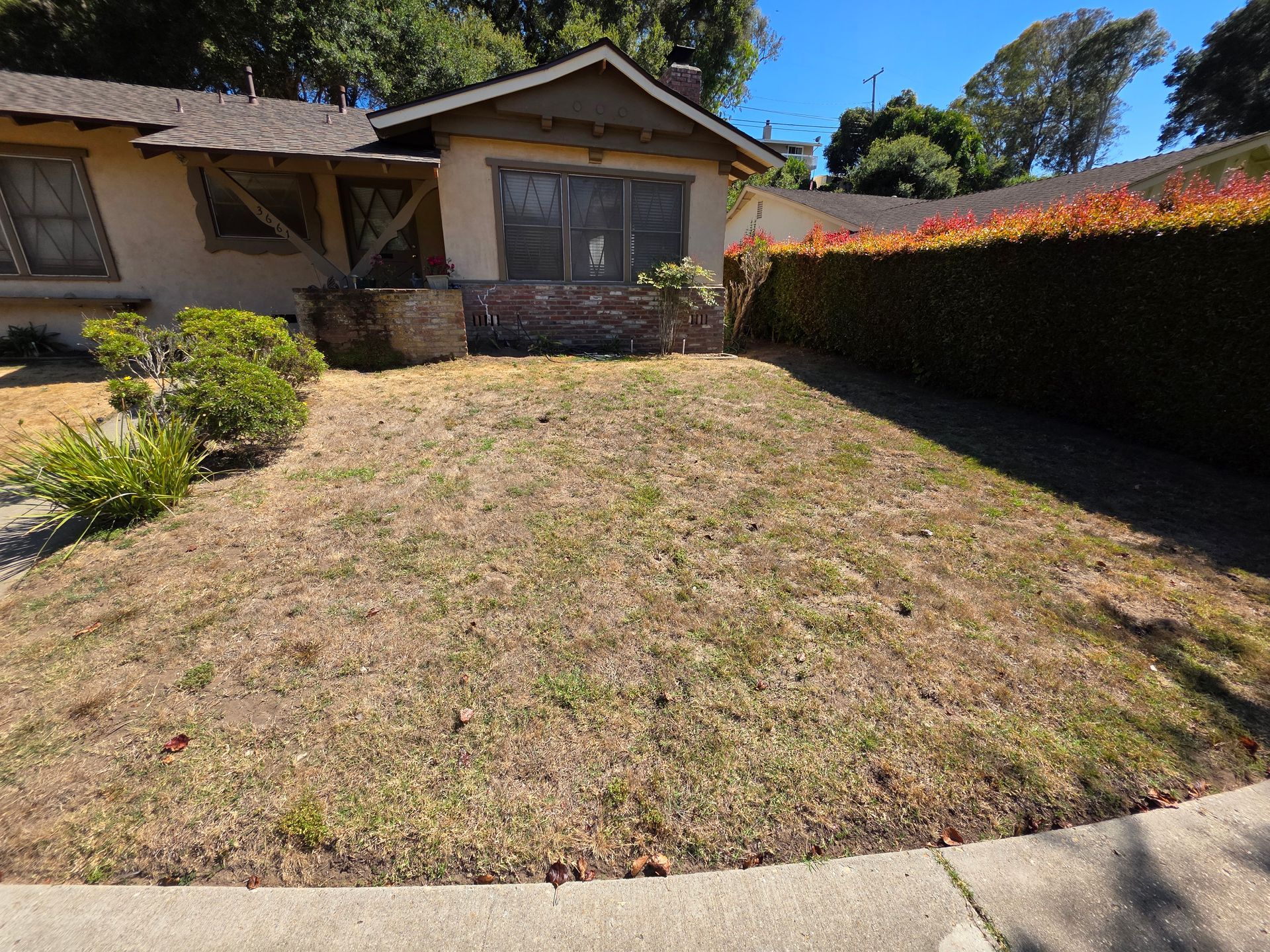 Front yard with dry grass slope, stone walkway, and a single-story house under a bright sky