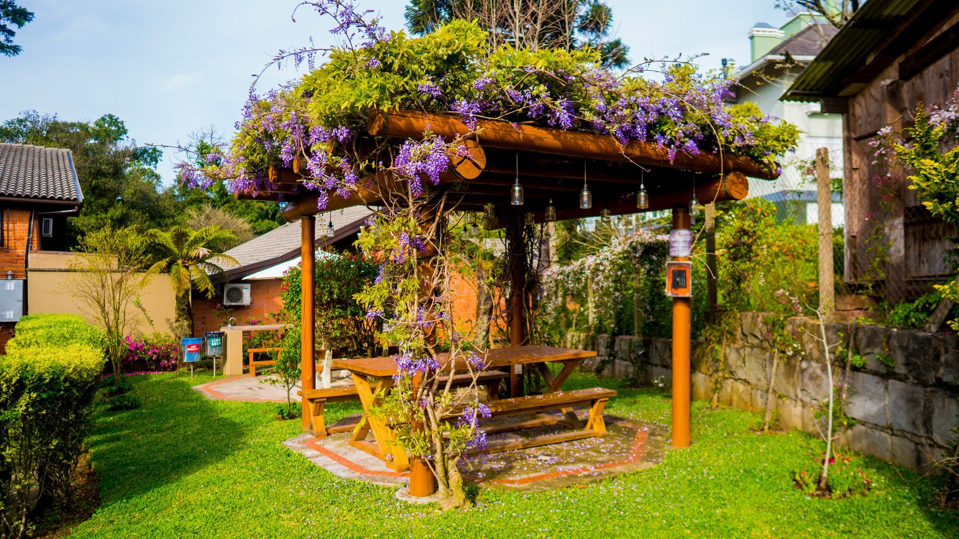 Pérgola de madeira com uma trepadeira florida sobre uma mesa de piquenique em um quintal exuberante.