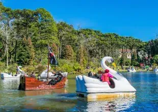 Pessoas passeando em barcos a remo em forma de cisne e pirata em um lago cercado por árvores.