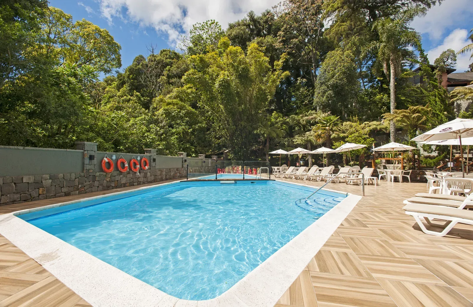 Piscina externa de resort com água azul, espreguiçadeiras, guarda-sóis e árvores exuberantes sob um céu ensolarado.