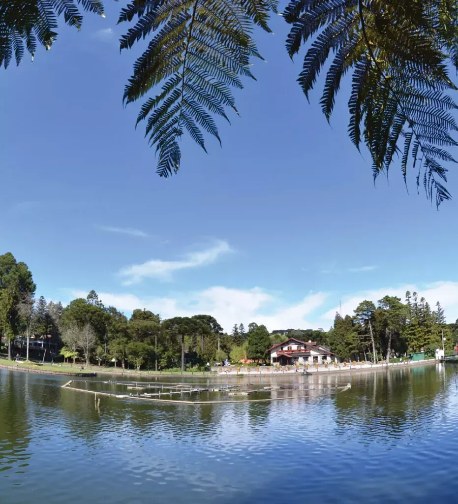Lago tranquilo em um parque com árvores, um prédio na margem e galhos frondosos emoldurando um céu azul claro.
