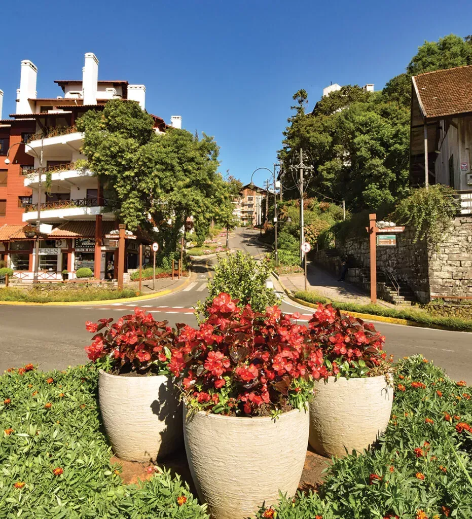 Jardineiras em uma rotunda ensolarada com árvores, edifícios e um céu azul.