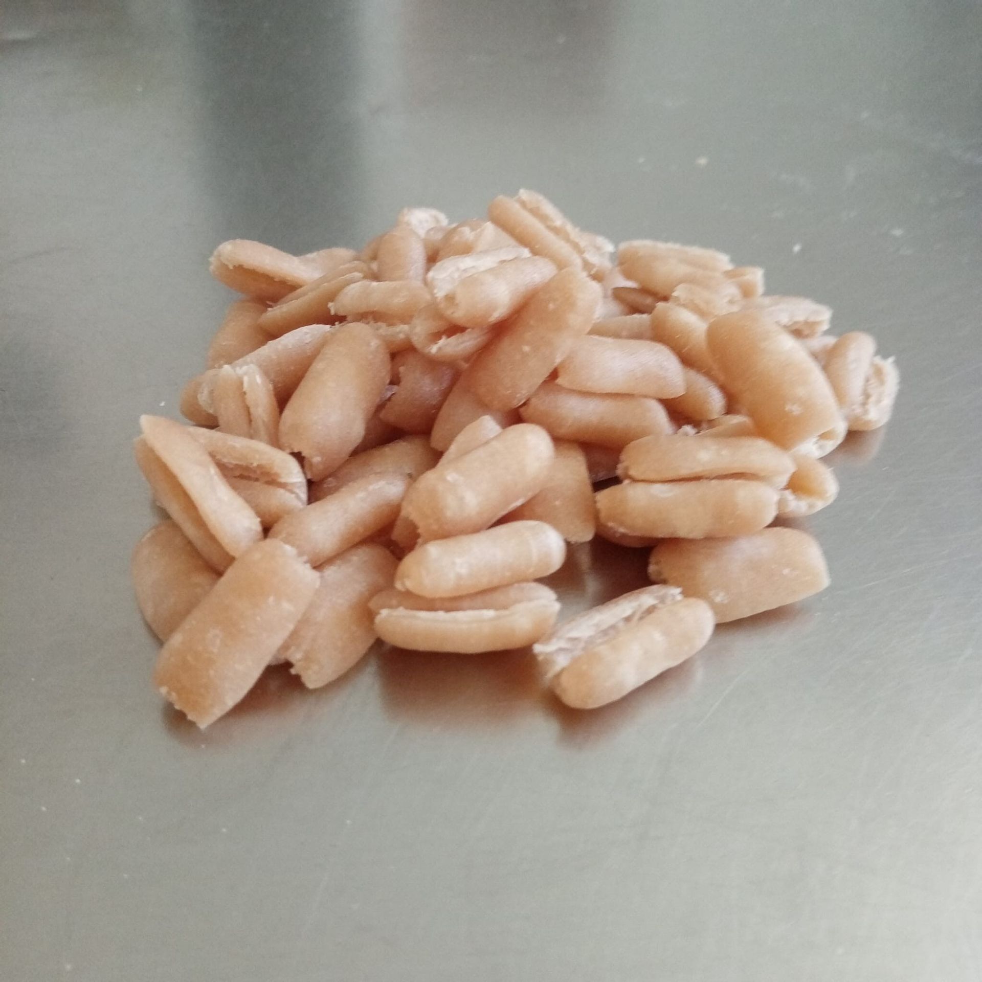 Mucchio di pasta cilindrica, marrone chiaro, su una superficie metallica.