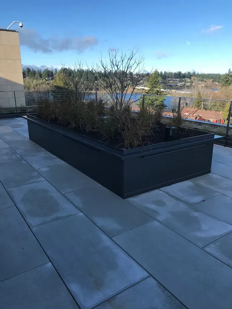 Custom fabricated metal planter box for outdoor commercial space