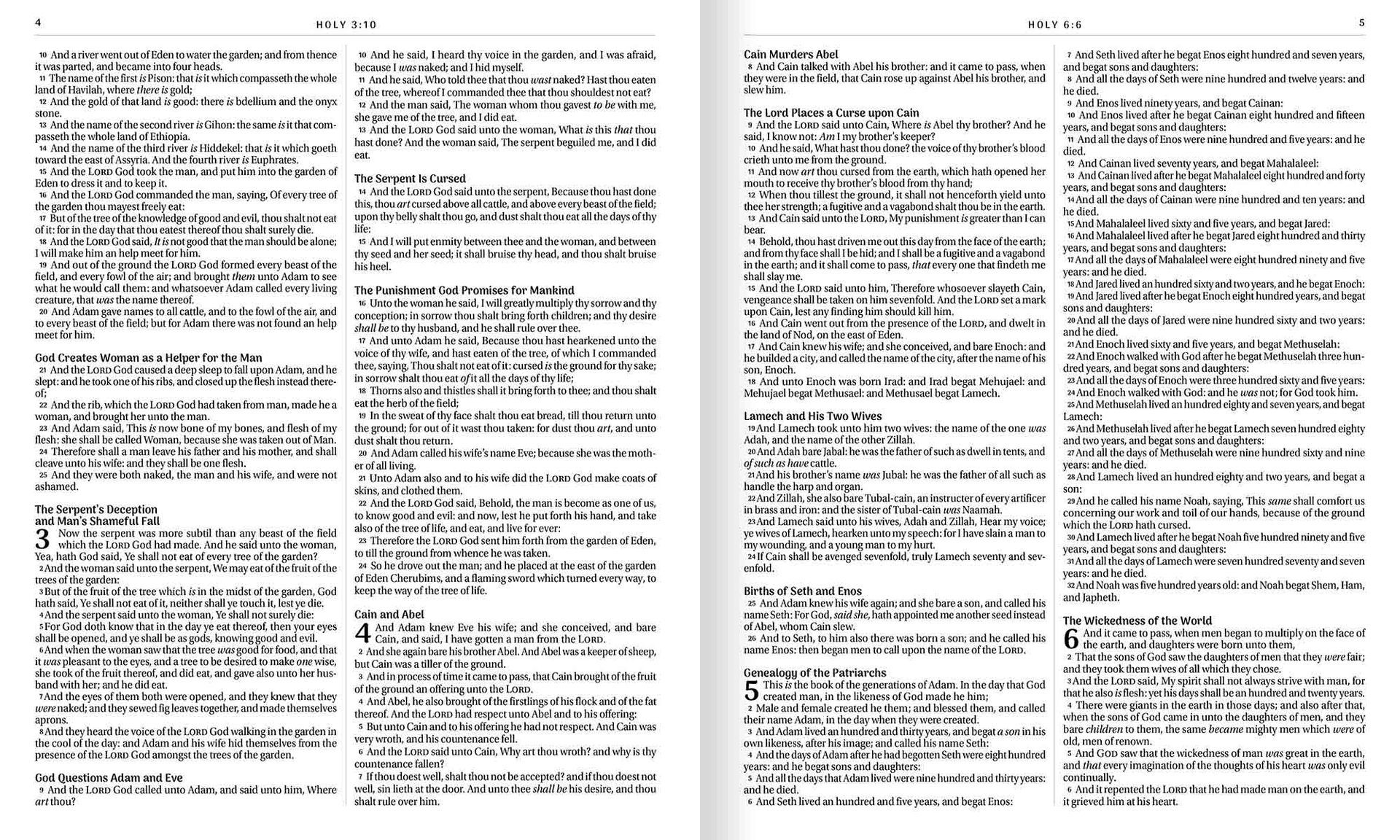 The Spiralbound Bible
