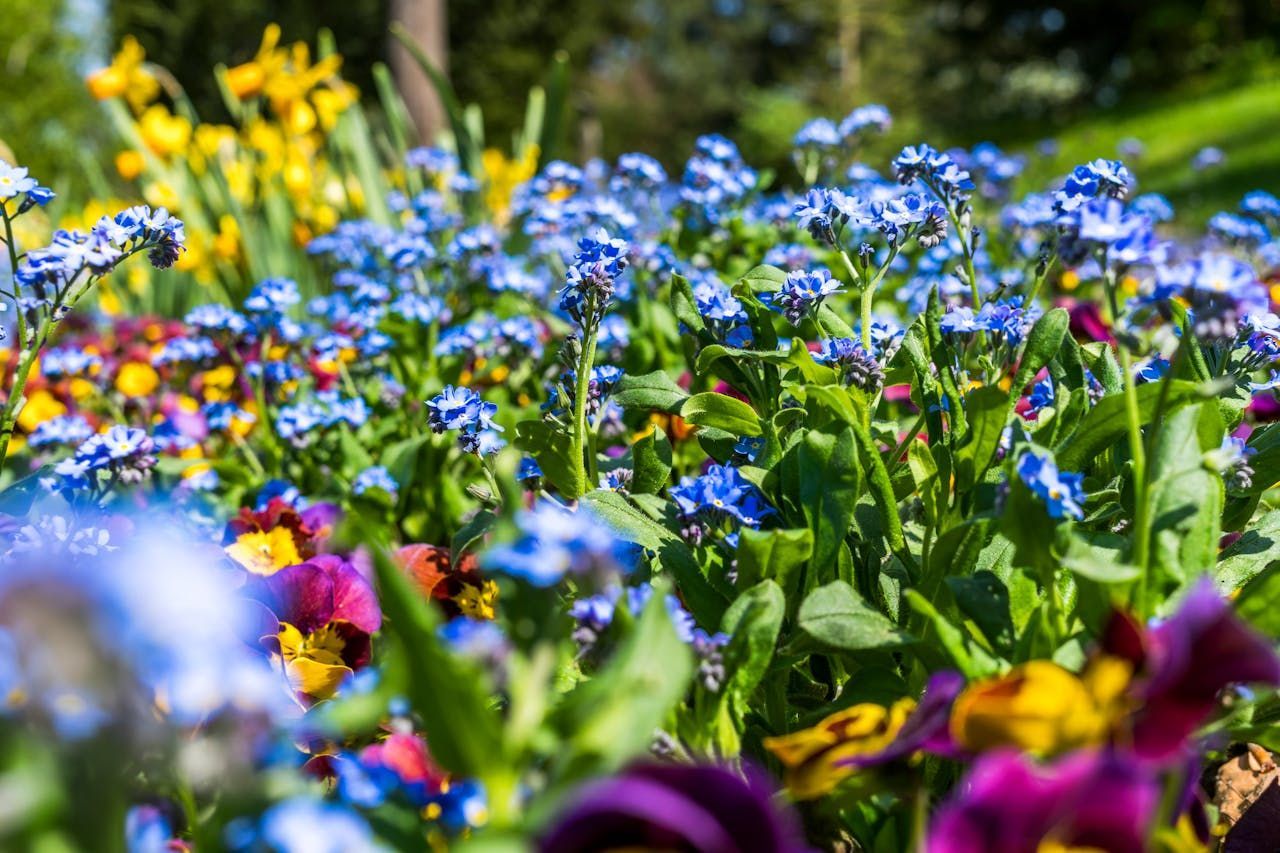 Campus-Realtors-flower-bed