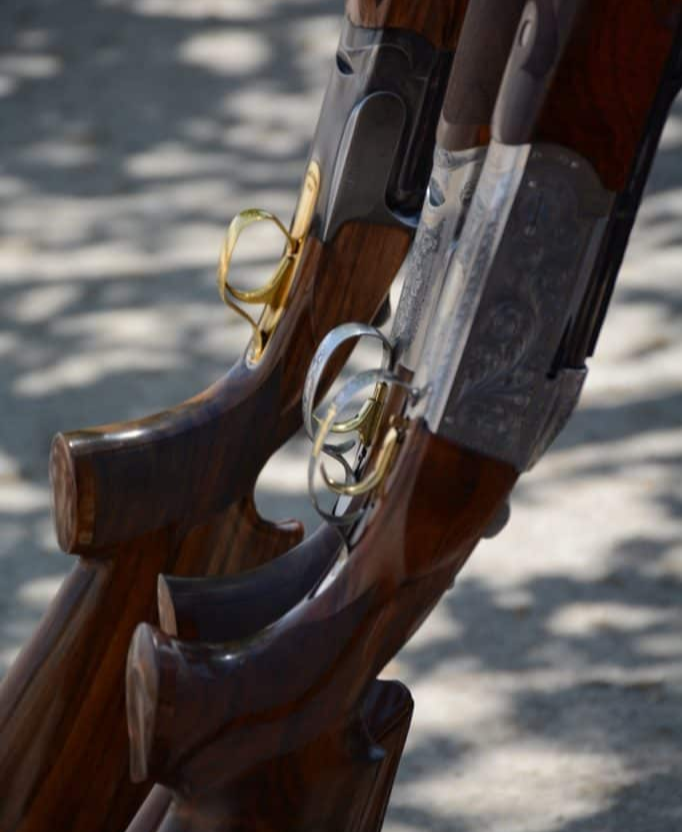 Close-up of two polished wooden shotguns with gold triggers leaning in sunlight