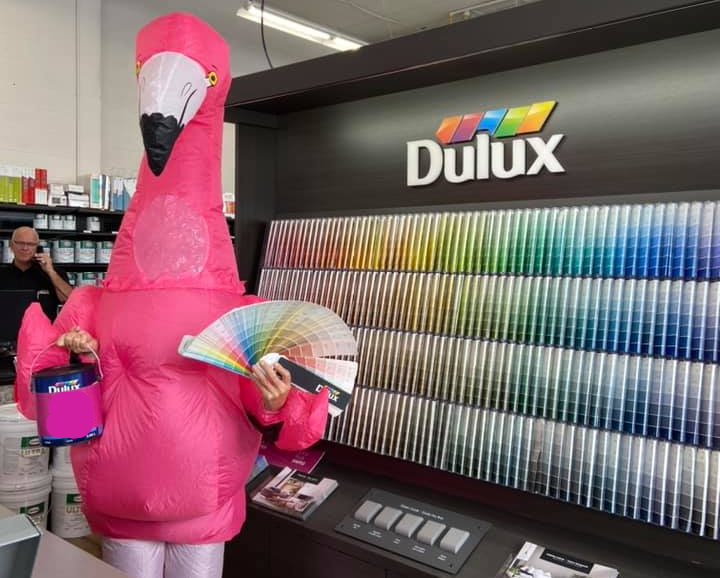 Paint Plumes Interiors Paint Products