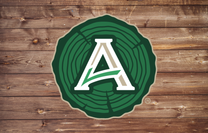 The letter a is in a green circle on a wooden background