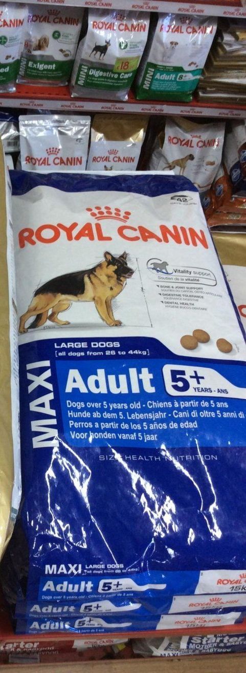 cibo cani