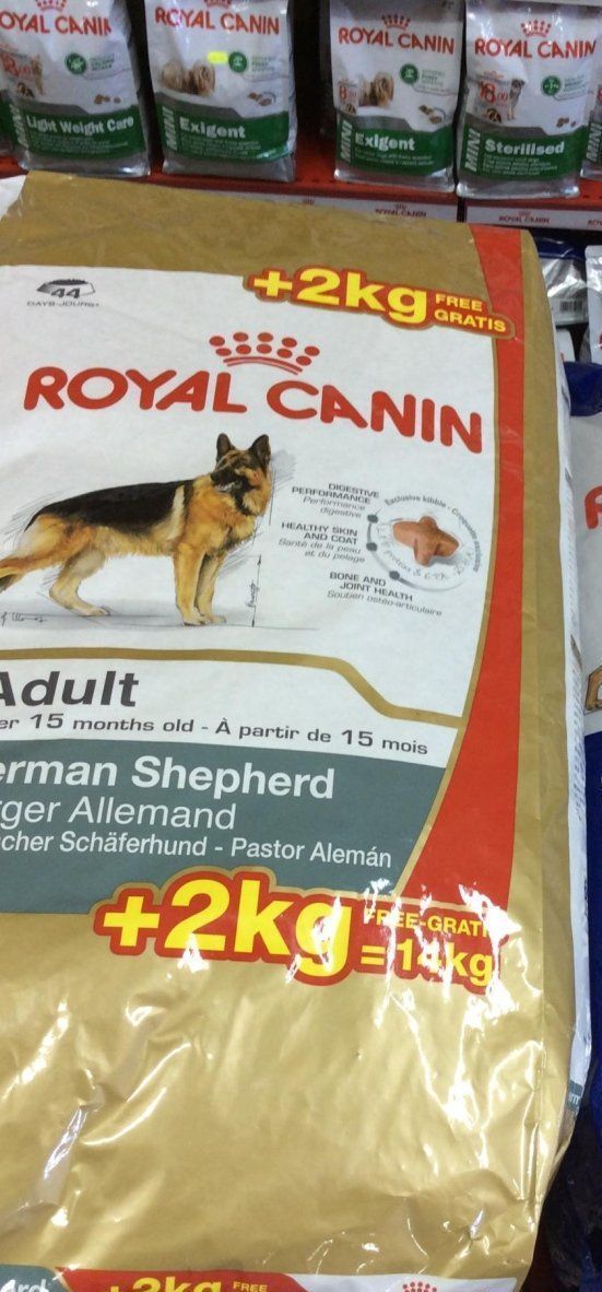 cibo cani