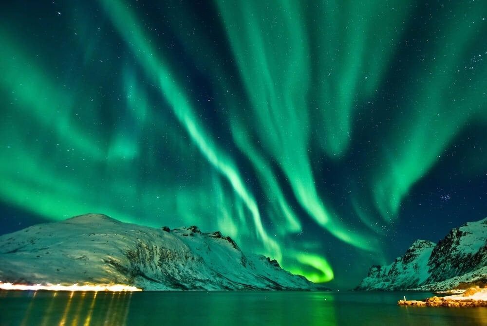 Whale Watching & Northern Lights Adventure in Tromso