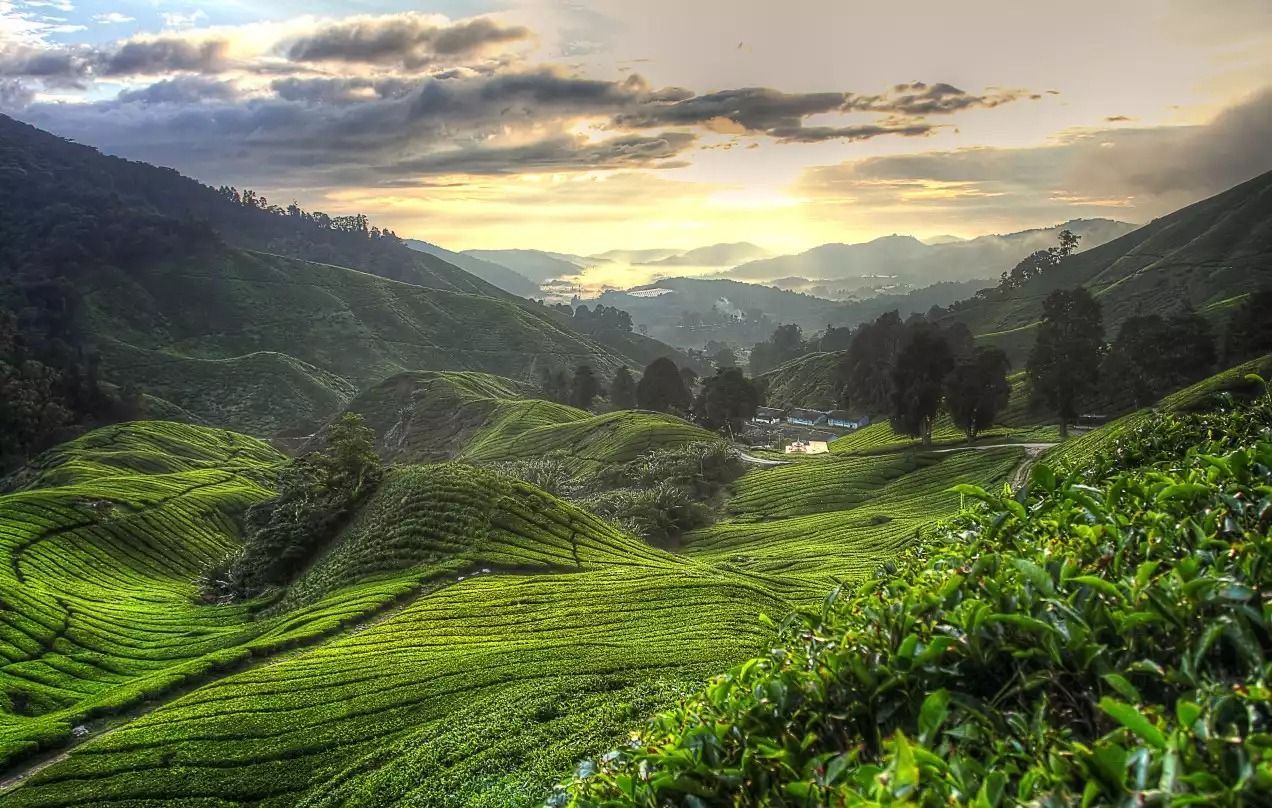 Singapore to Bangkok by Rail