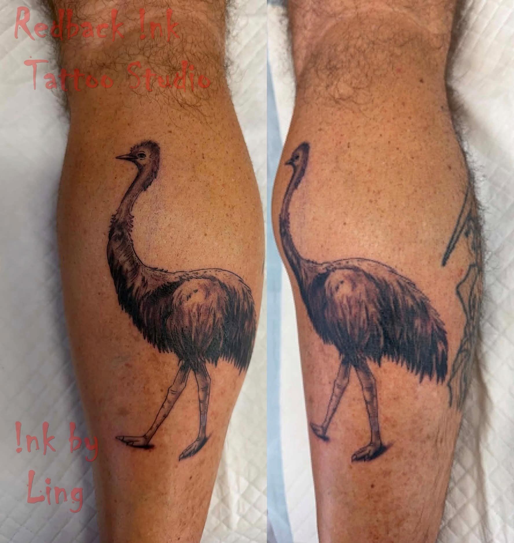 Side-by-side Close-up of a Leg With a Black Emu Tattoo — Redback !nk Tattoo Studio in Kawana, QLD