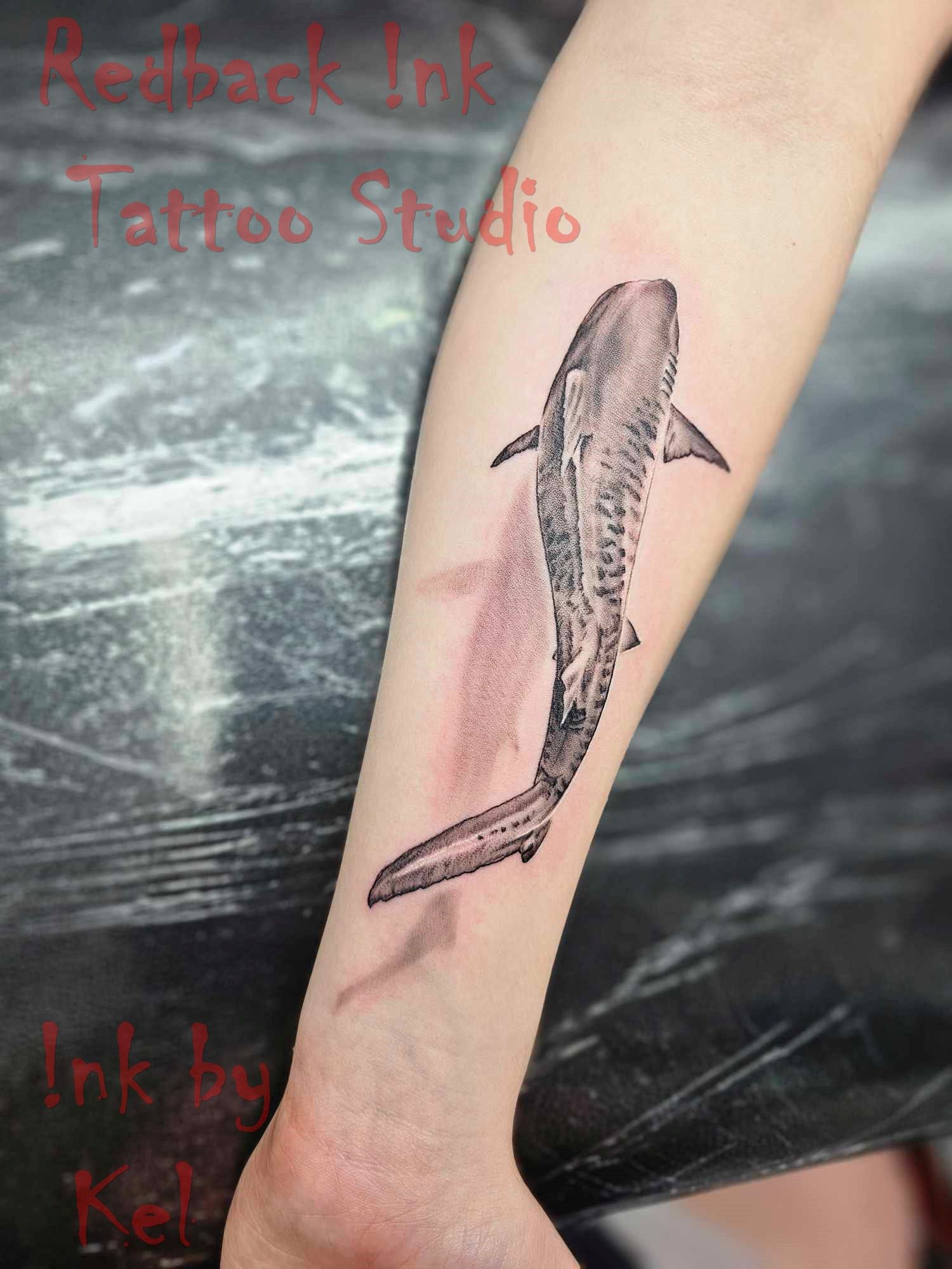 Shark Tattoo on a Person's Forearm in Black and White With a Shadow — Redback !nk Tattoo Studio in Kawana, QLD