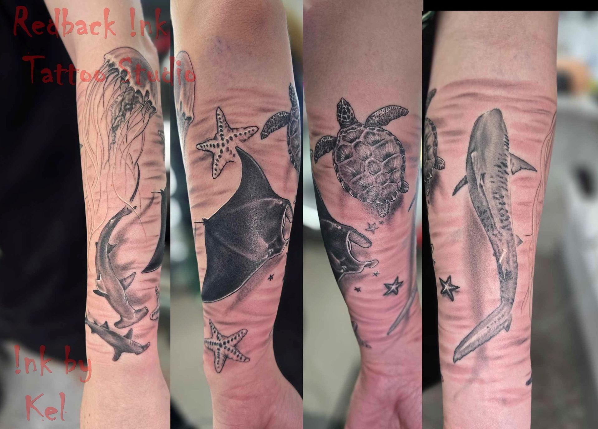 Tattoo Sleeve: Jellyfish, Sharks, Starfish, Manta Ray, Turtle, and a Whale Shark — Redback !nk Tattoo Studio in Kawana, QLD
