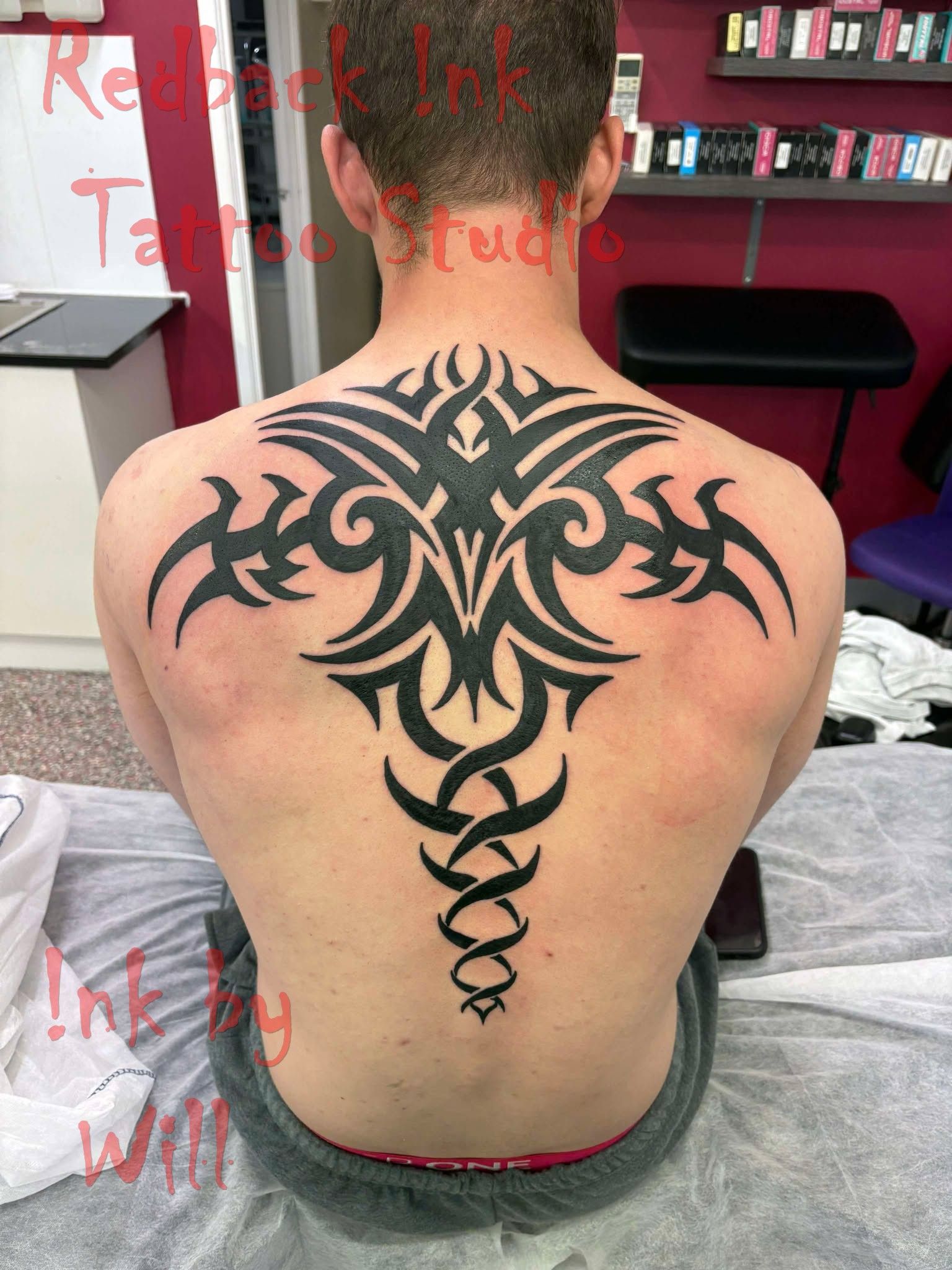 Man's Back With Large Black Tribal Tattoo in a Studio Setting — Redback !nk Tattoo Studio in Kawana, QLD