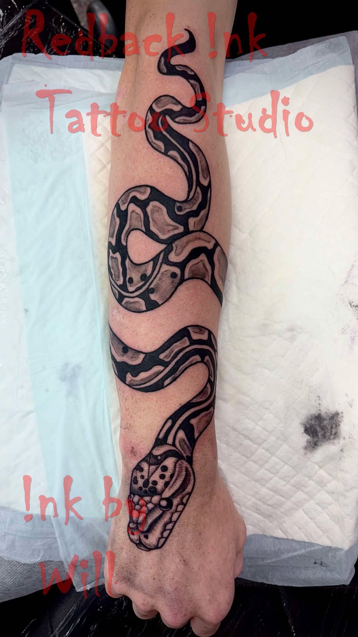 Tattoo of a Python Coiled Down an Arm, Black and Brown Pattern — Redback !nk Tattoo Studio in Kawana, QLD