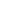 Chiropractic Care icon
