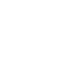 Chiropractic Care icon