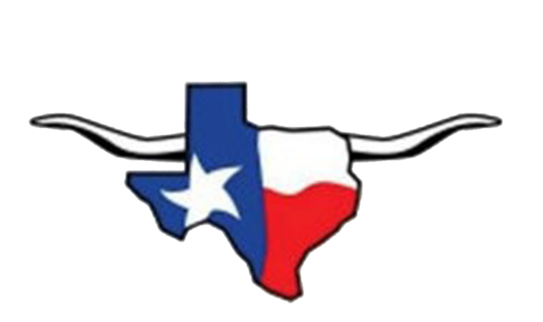 Texas flag outline with a longhorn silhouette.
