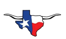 Texas flag outline with a longhorn silhouette.