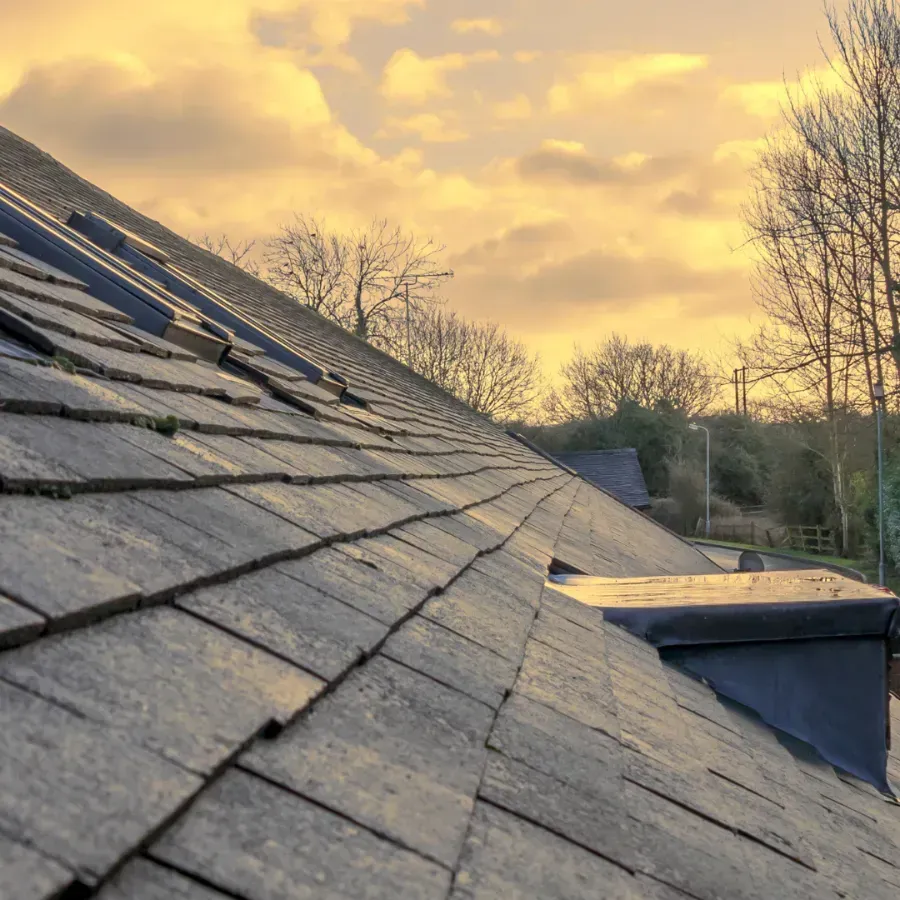 Sloped gray shingle roof at sunset with trees and a small roof vent on the right