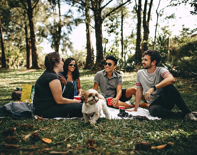 Friends and a small dog enjoying a picnic in a park. They are seated on a blanket, laughing and talking in the sunlight.