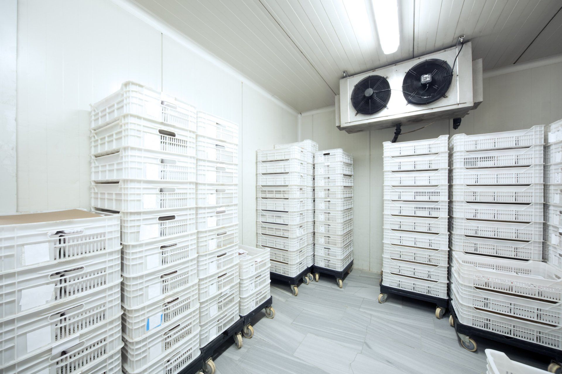 A room filled with lots of white crates and boxes.