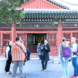 Specialist in Private Layover Car Tours
