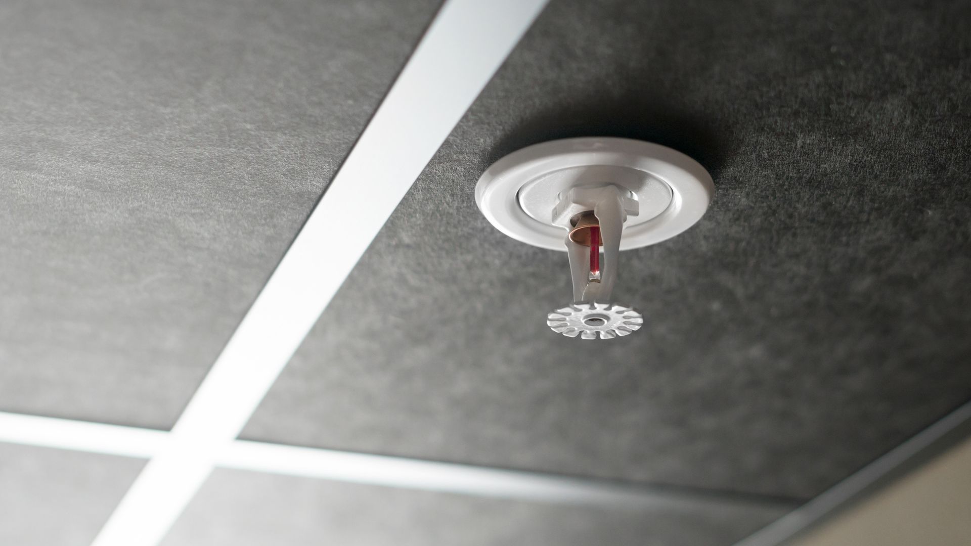 Close-up of a white fire sprinkler on a gray ceiling.